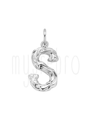 Zawieszka klasyczna literka S
