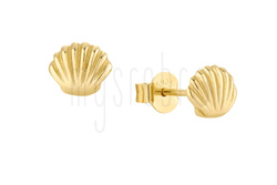 Kolczyki muszelki